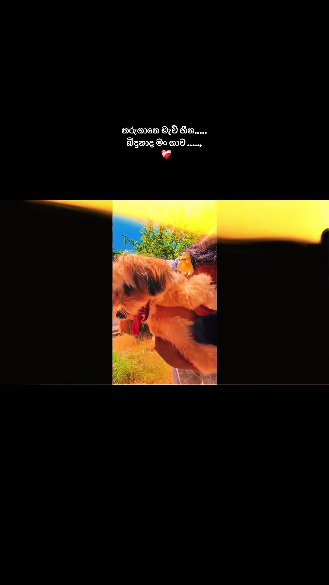 @𝐒𝐀𝐂𝐇𝐈_𝐍𝐈🍃