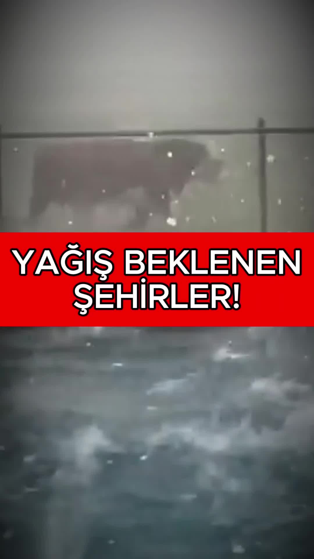 @Havadar