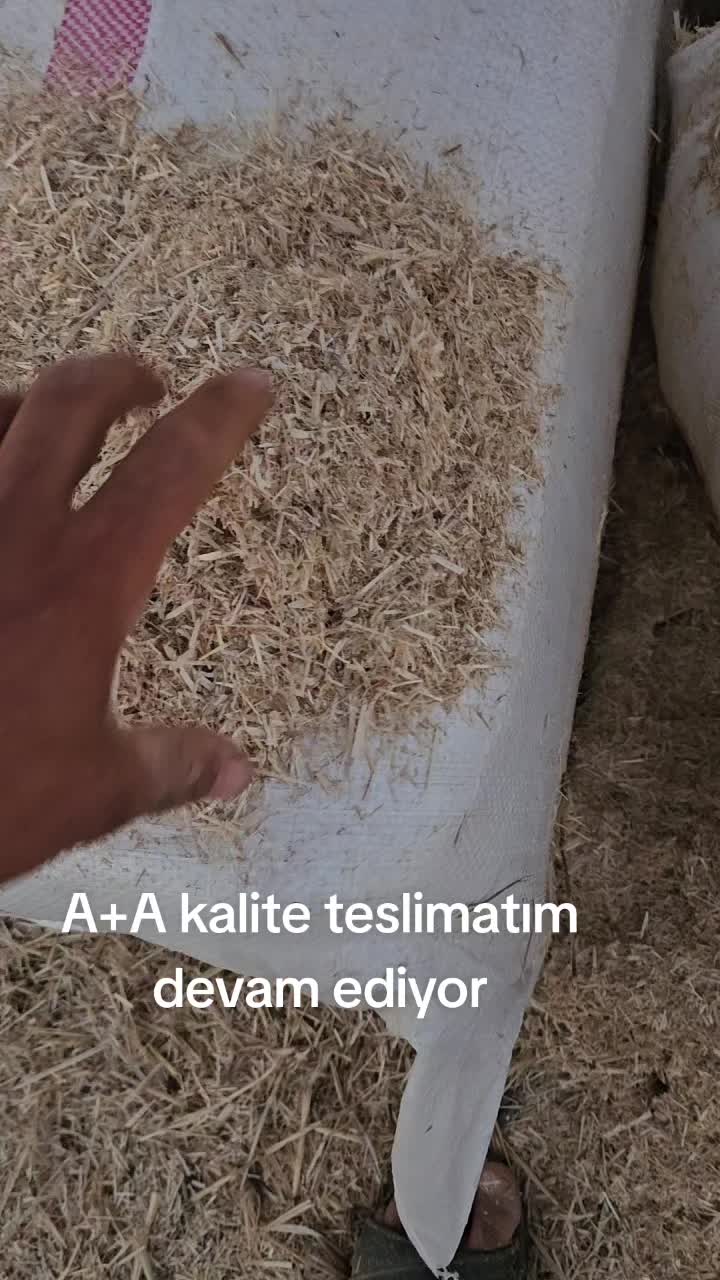 @F'erdi B'aly&uuml;z