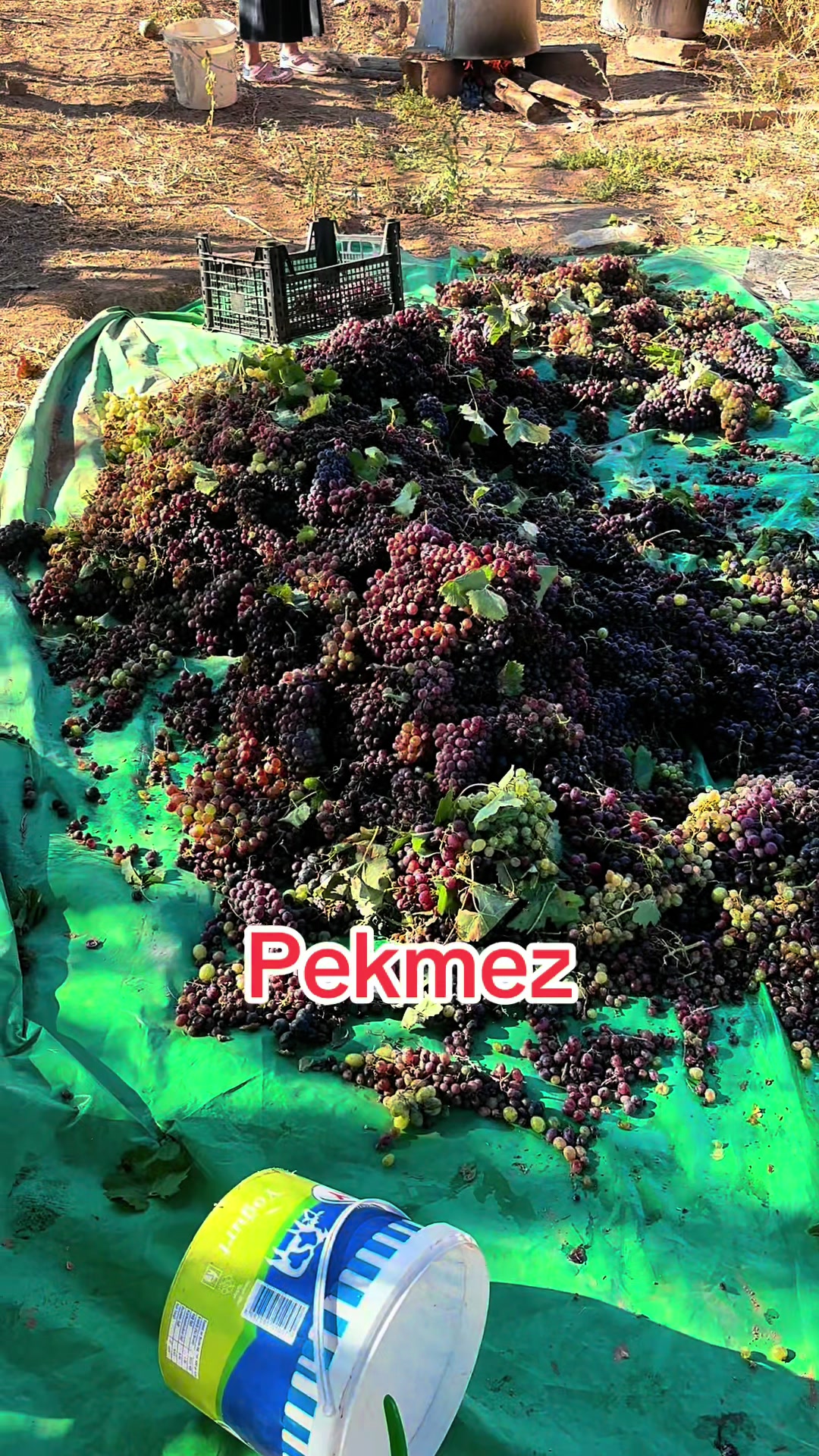 @K&uuml;rşat Yılmaz