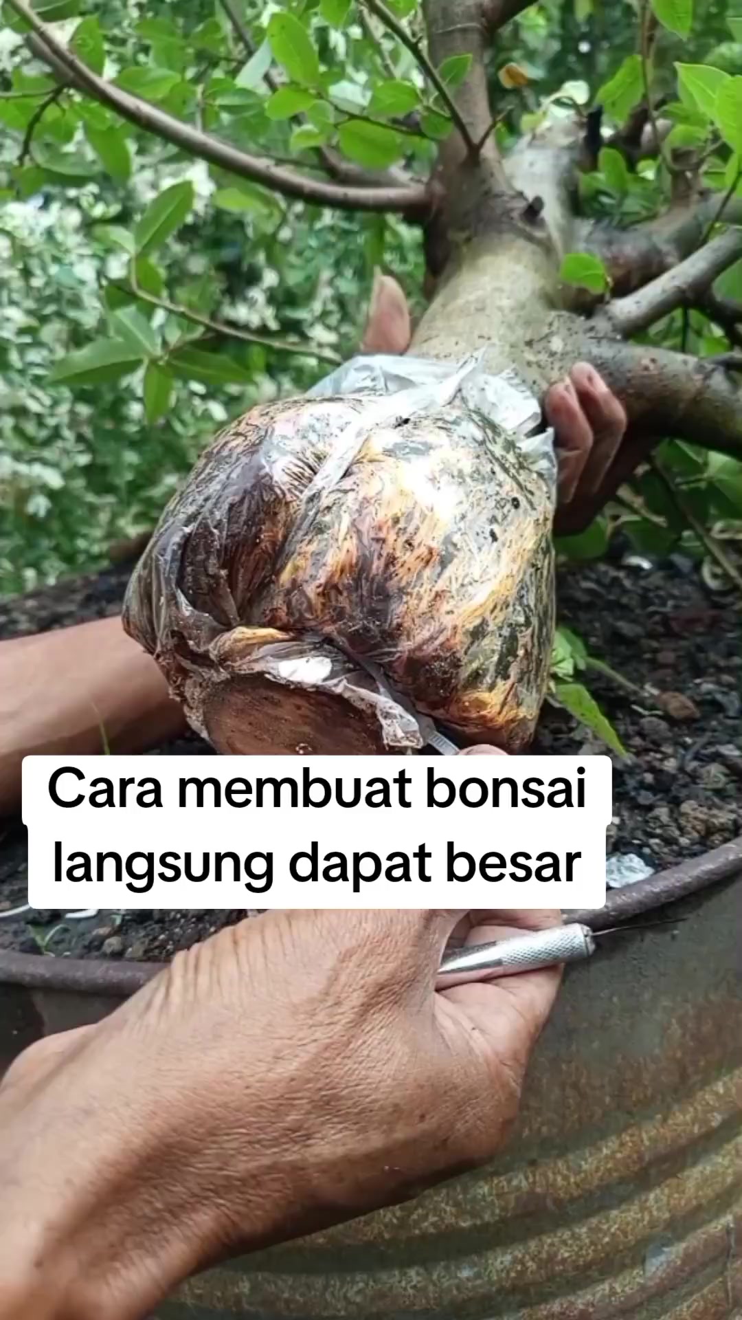 @Bos07