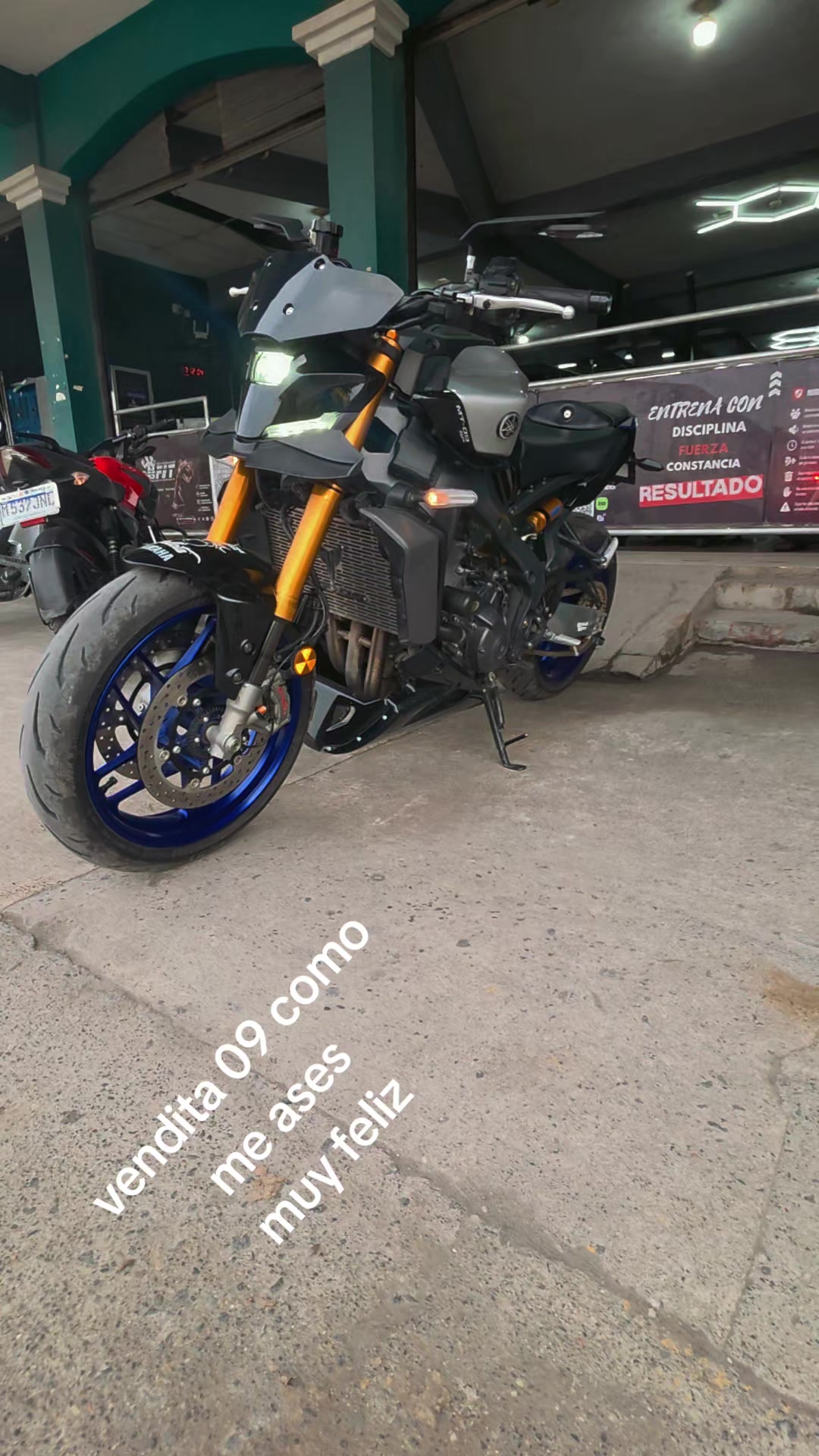@bilderalfaro