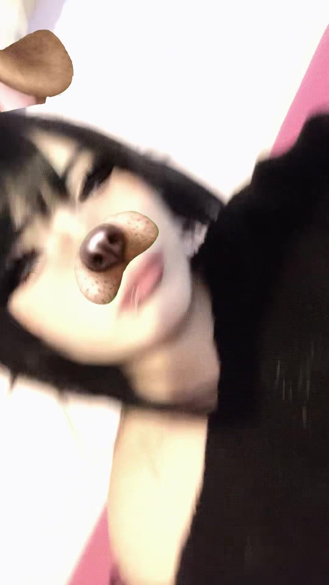 @Layla♡&acute;･ᴗ･`♡