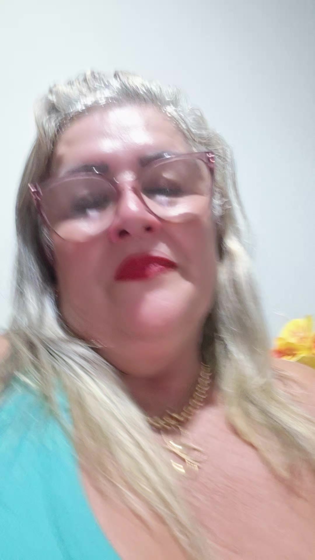 @sirleybraga