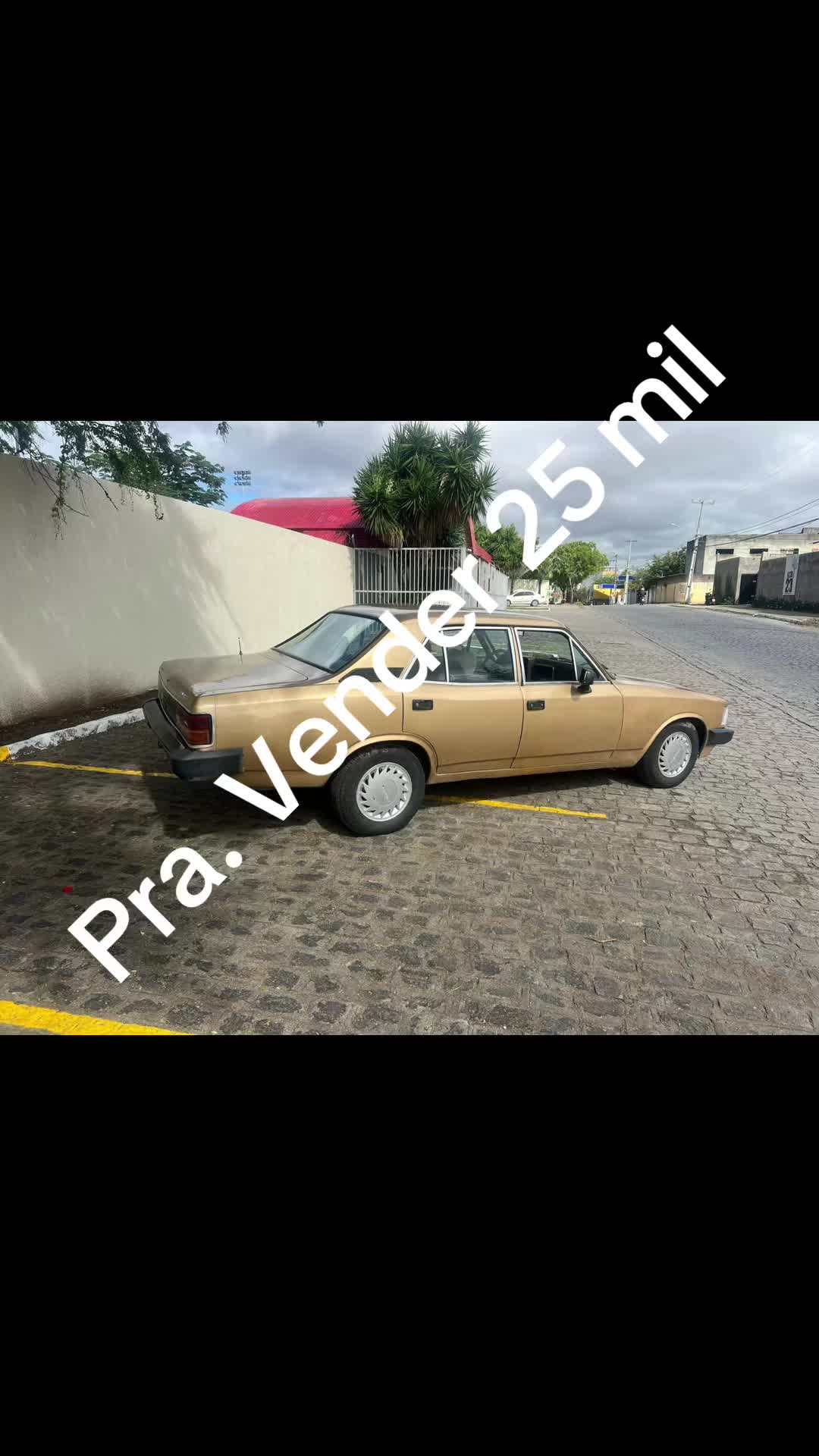 @Bruno Maciel
