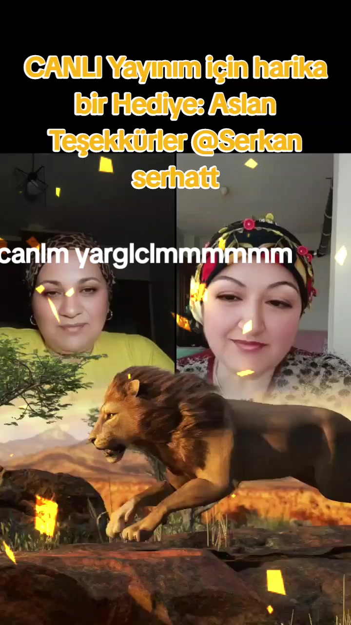 @Nurdan Demir
