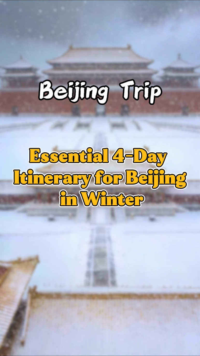 @金马国旅