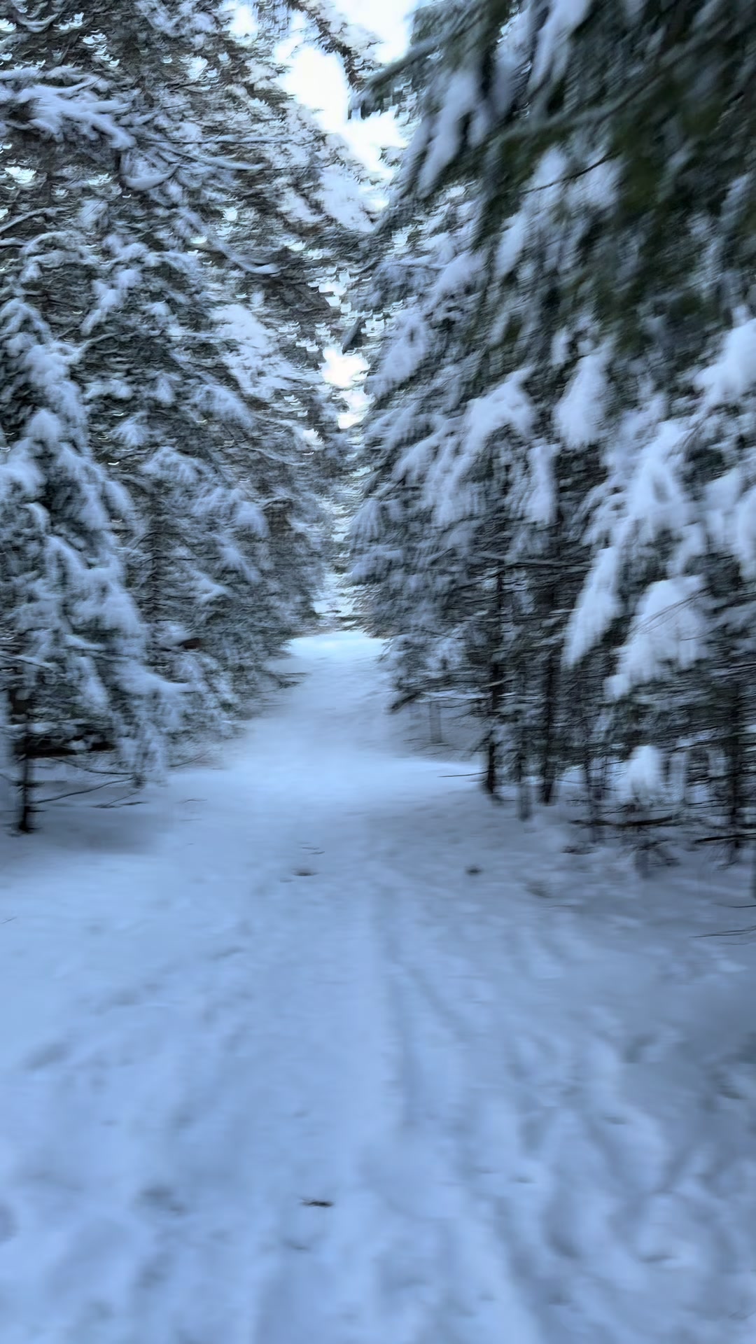 @Hippieheart_Sherry 🇨🇦