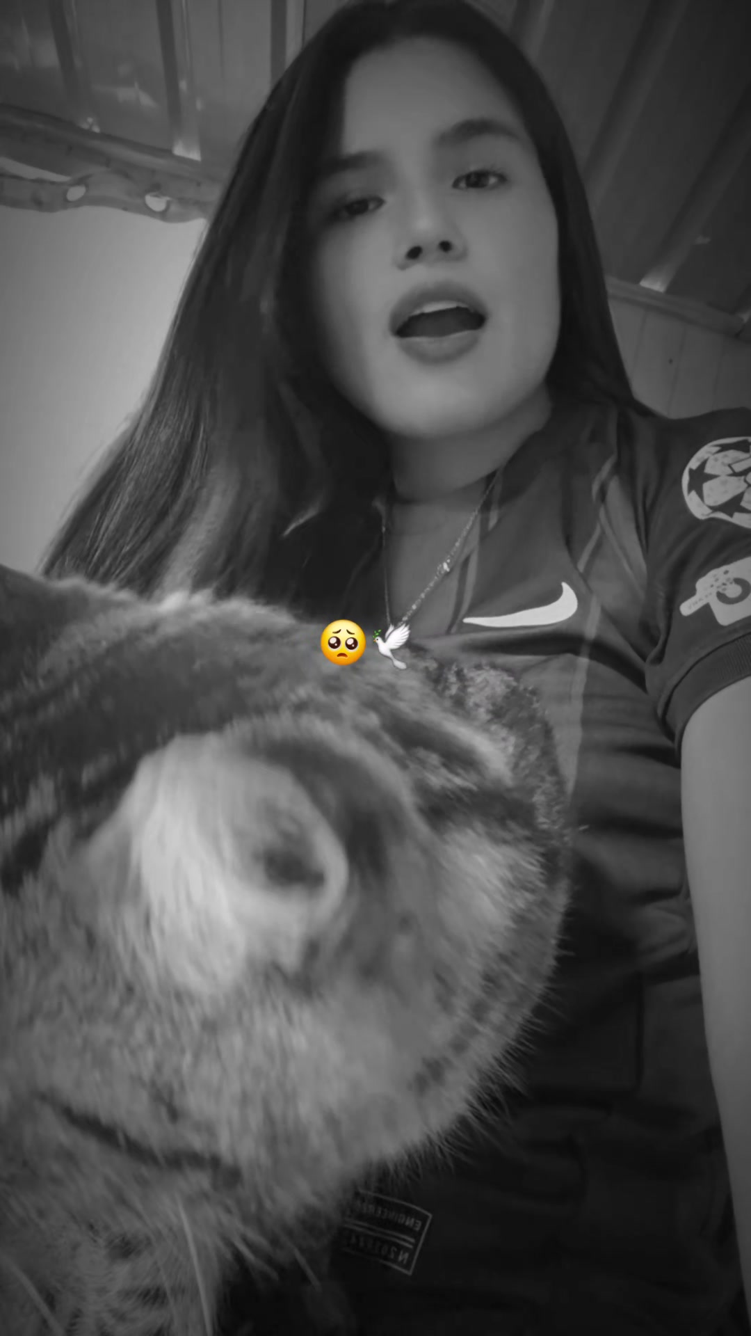 @🦋Ali🦋Barça💙❤️SC🤍🩵
