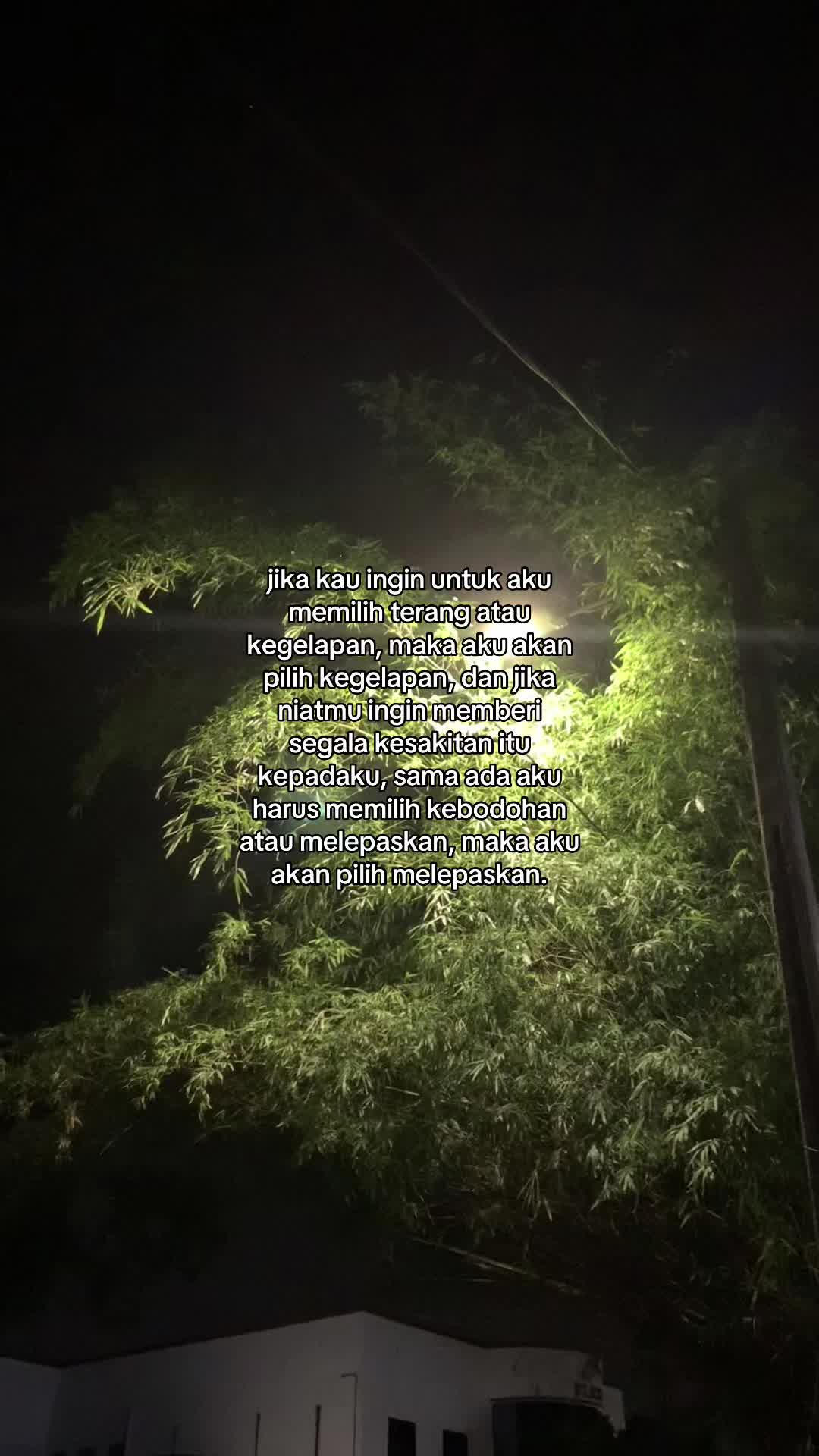 @𝘼𝙢⚡