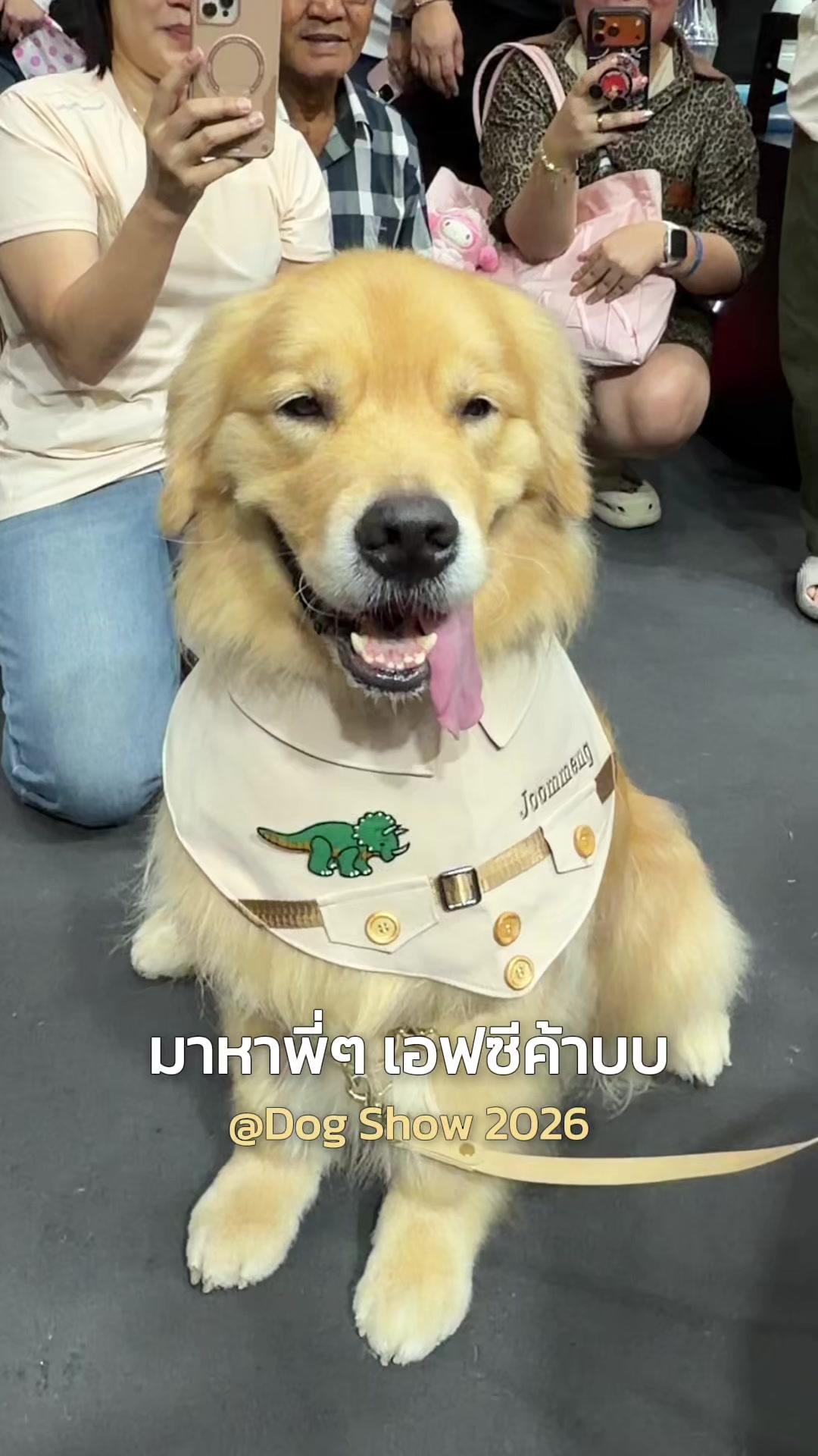 @Joommeng Mee Arai