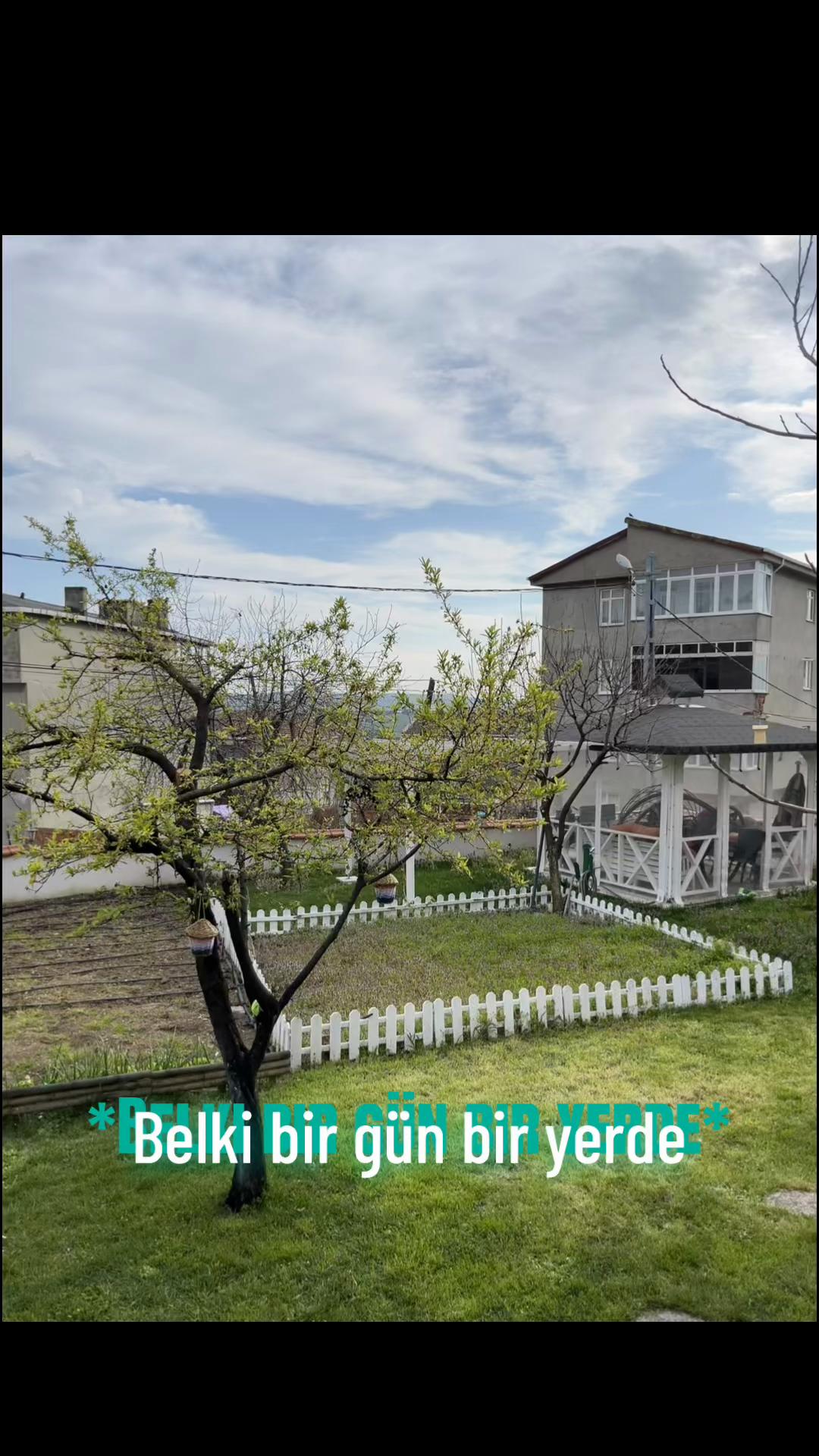 @Reportsluuukkk