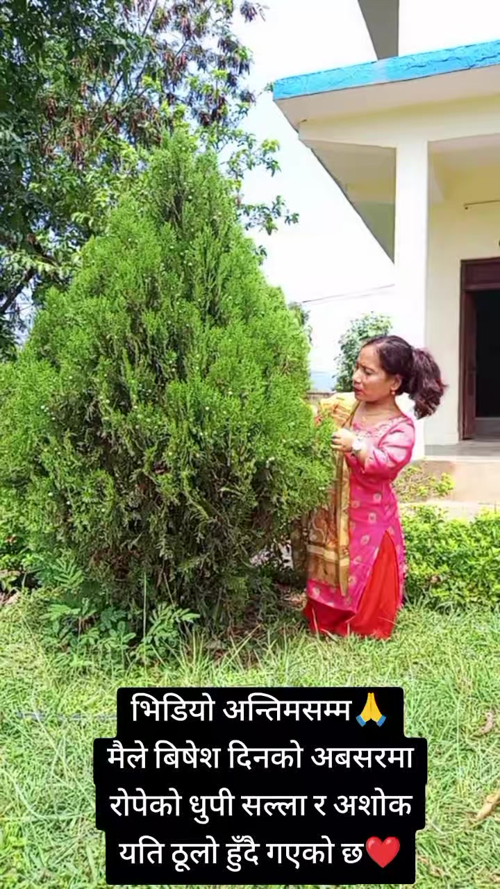 @बसन्ती ओलि