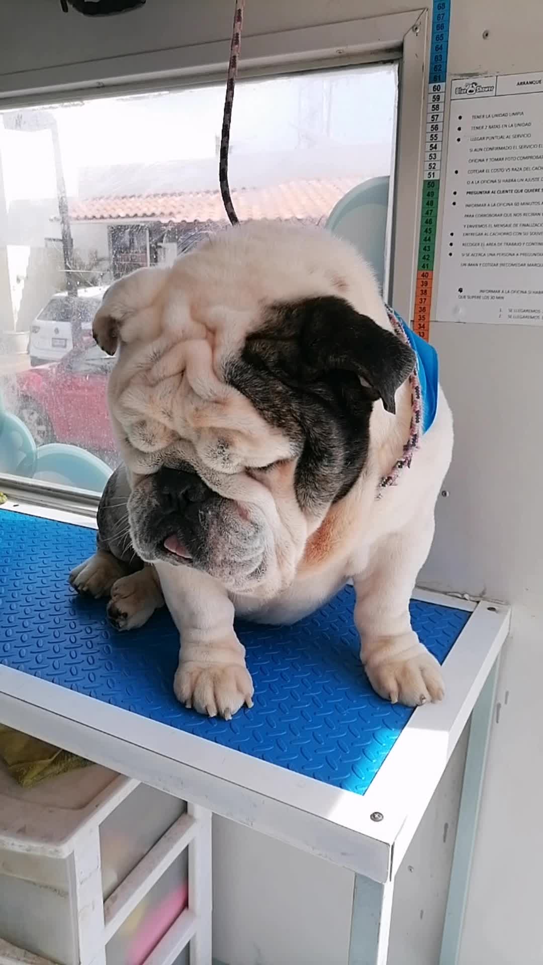 @Pablo Prado