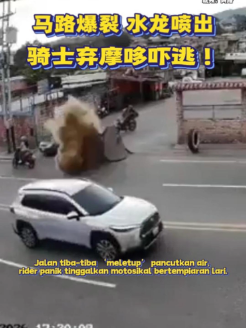 @中国报