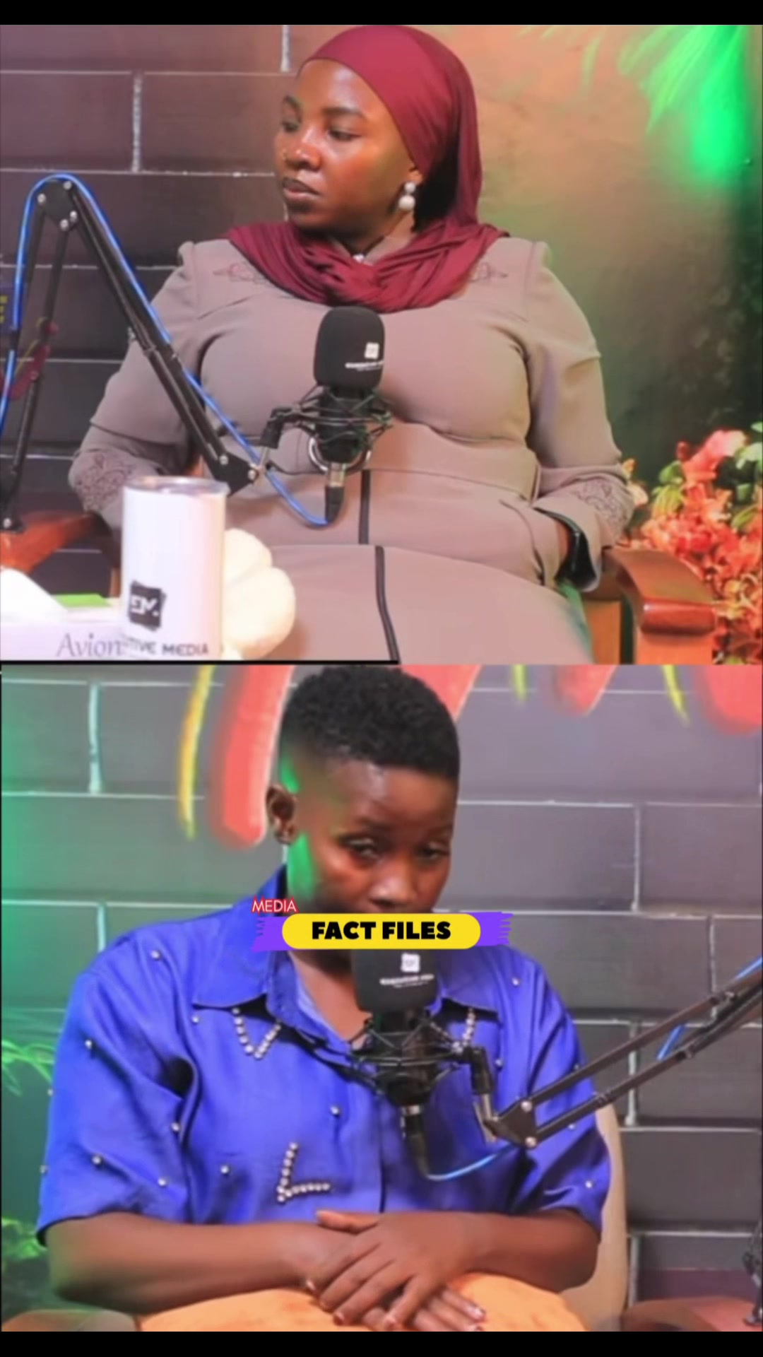 @FactFilesMedia