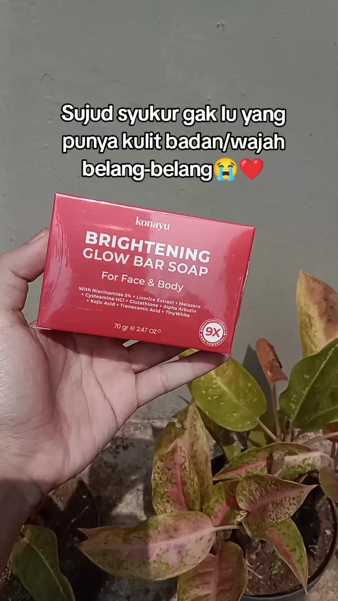 @S-tetik 🛒
