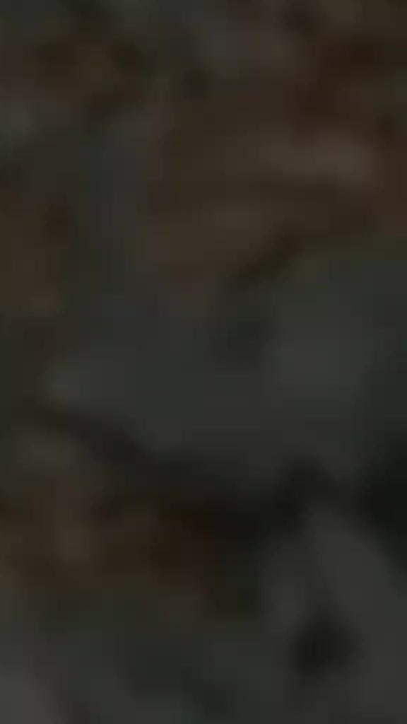 @user6533782463031