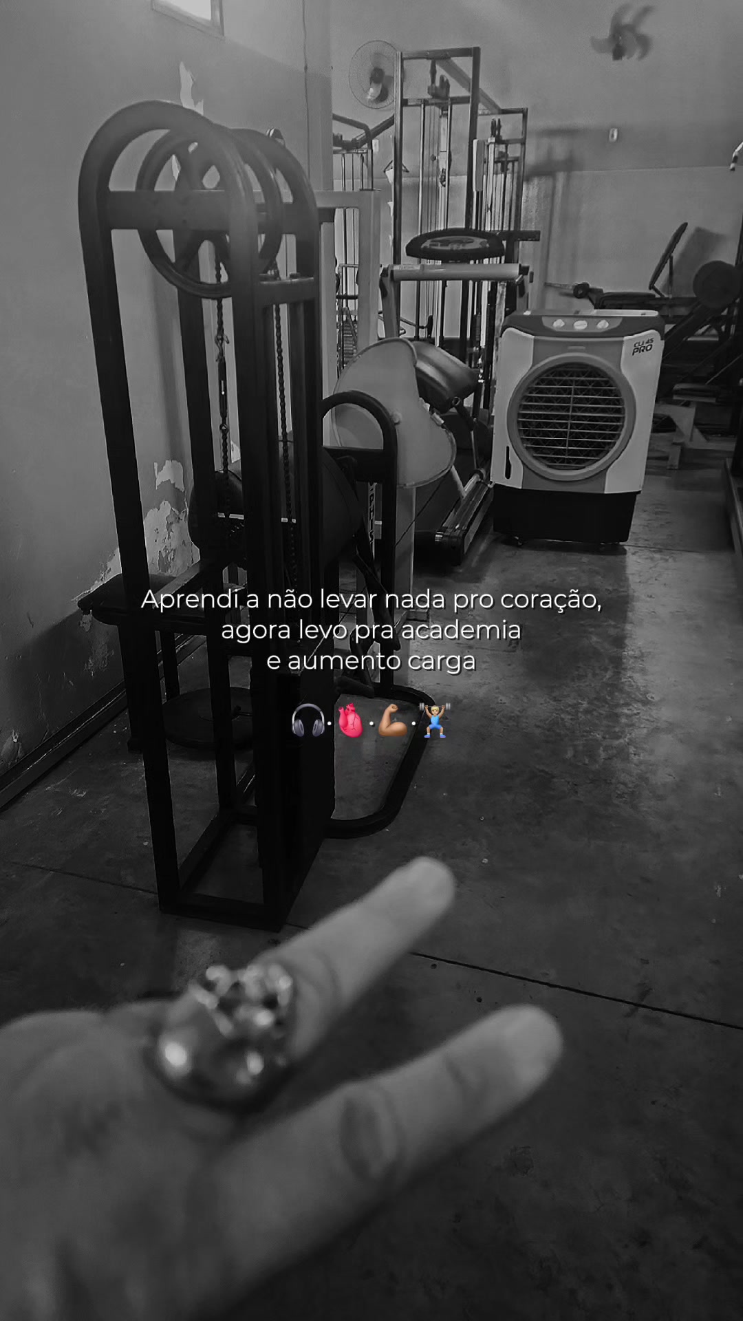 @🏳️🌈Zelle Sousa 🏴☠️🤘