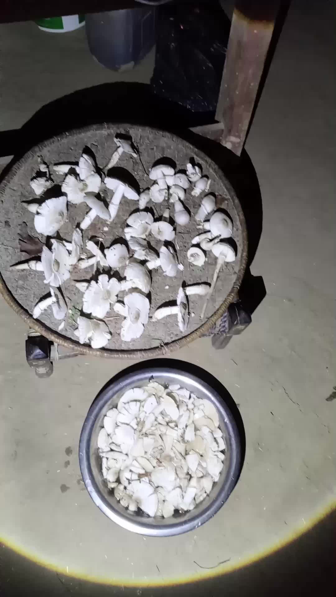 @jpkushmi📿🕉️🔱