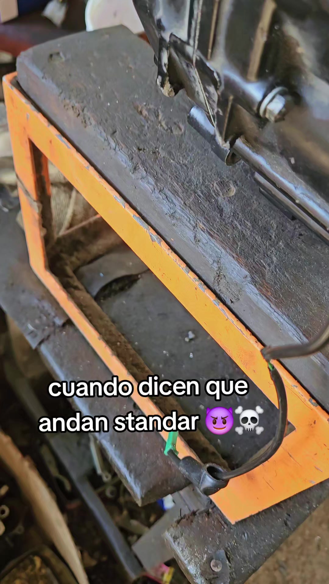 @tall3r col0ch0🔥🐽