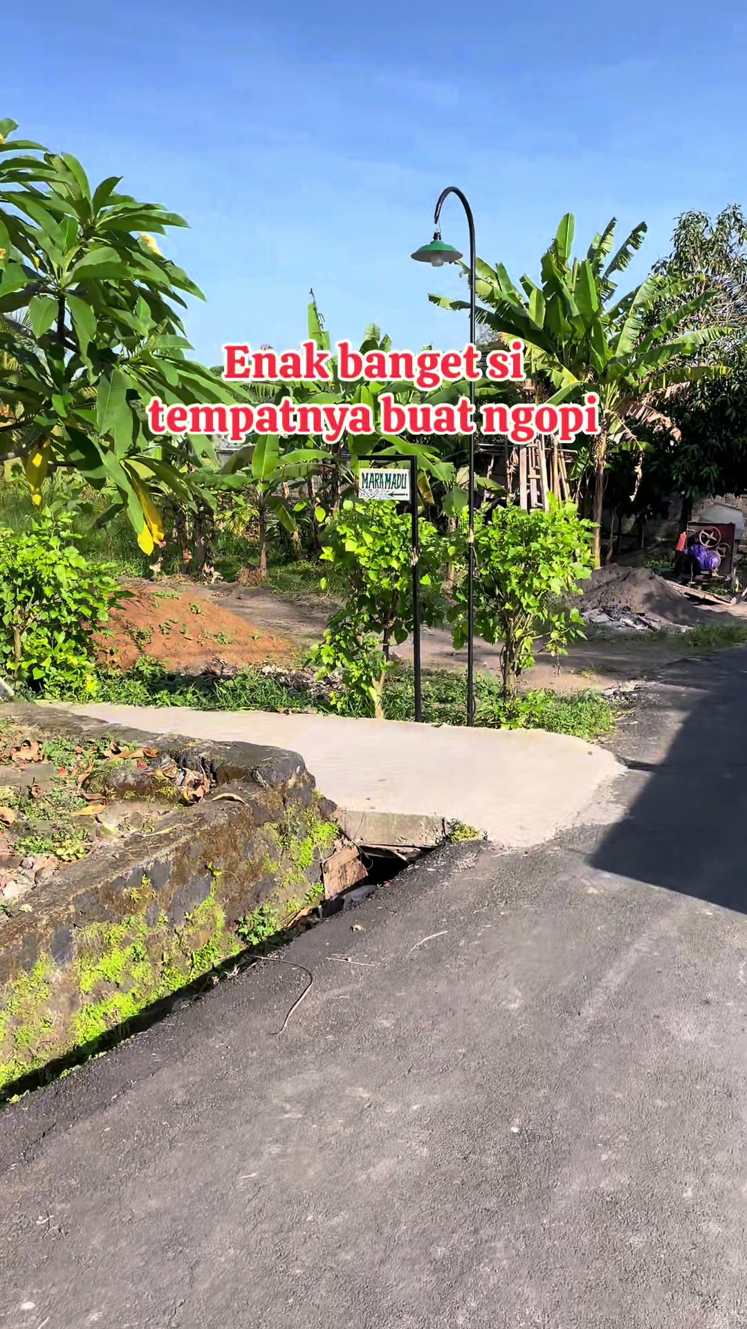 @Balinese Info