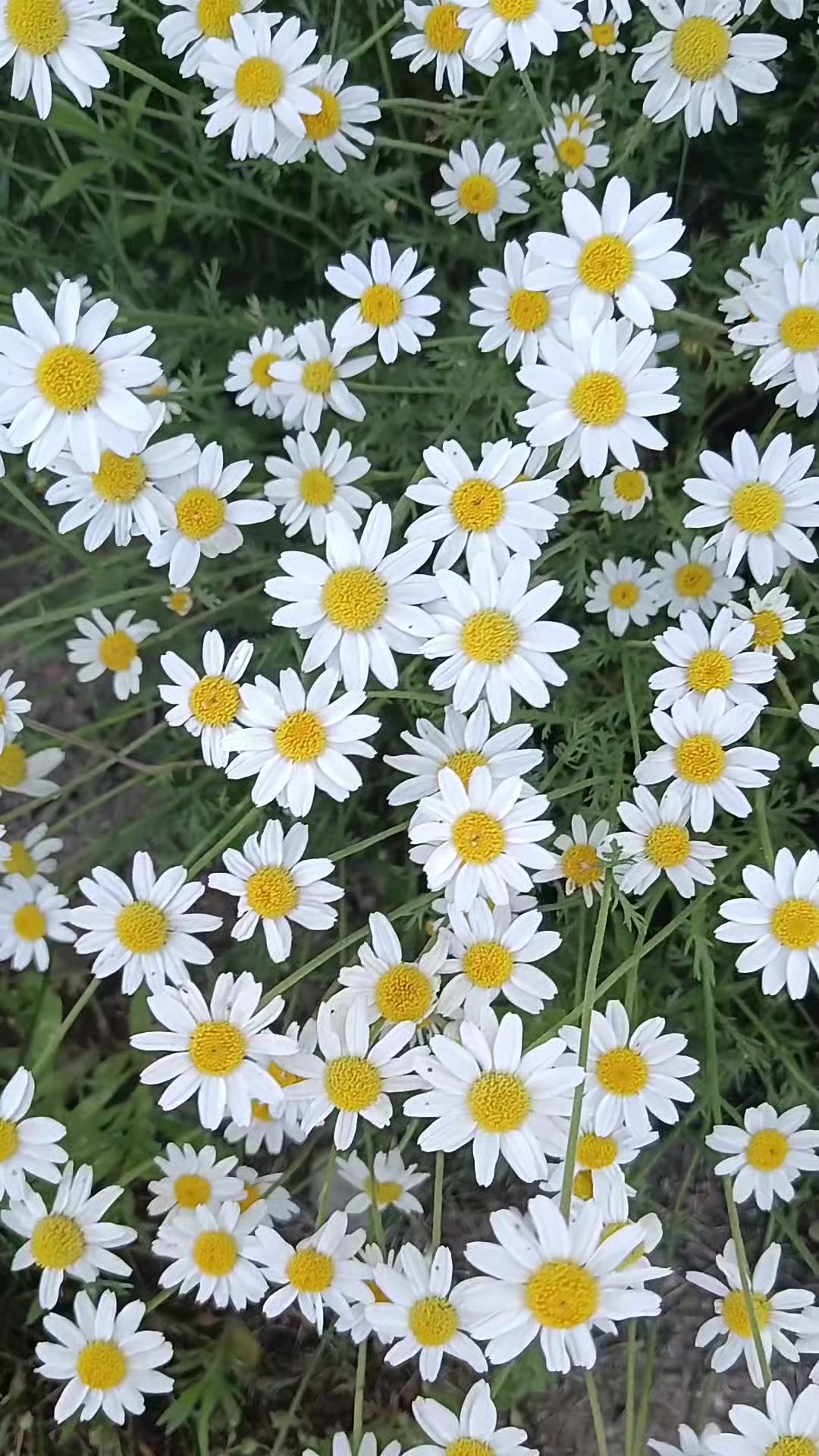 @🦋Натали🦋