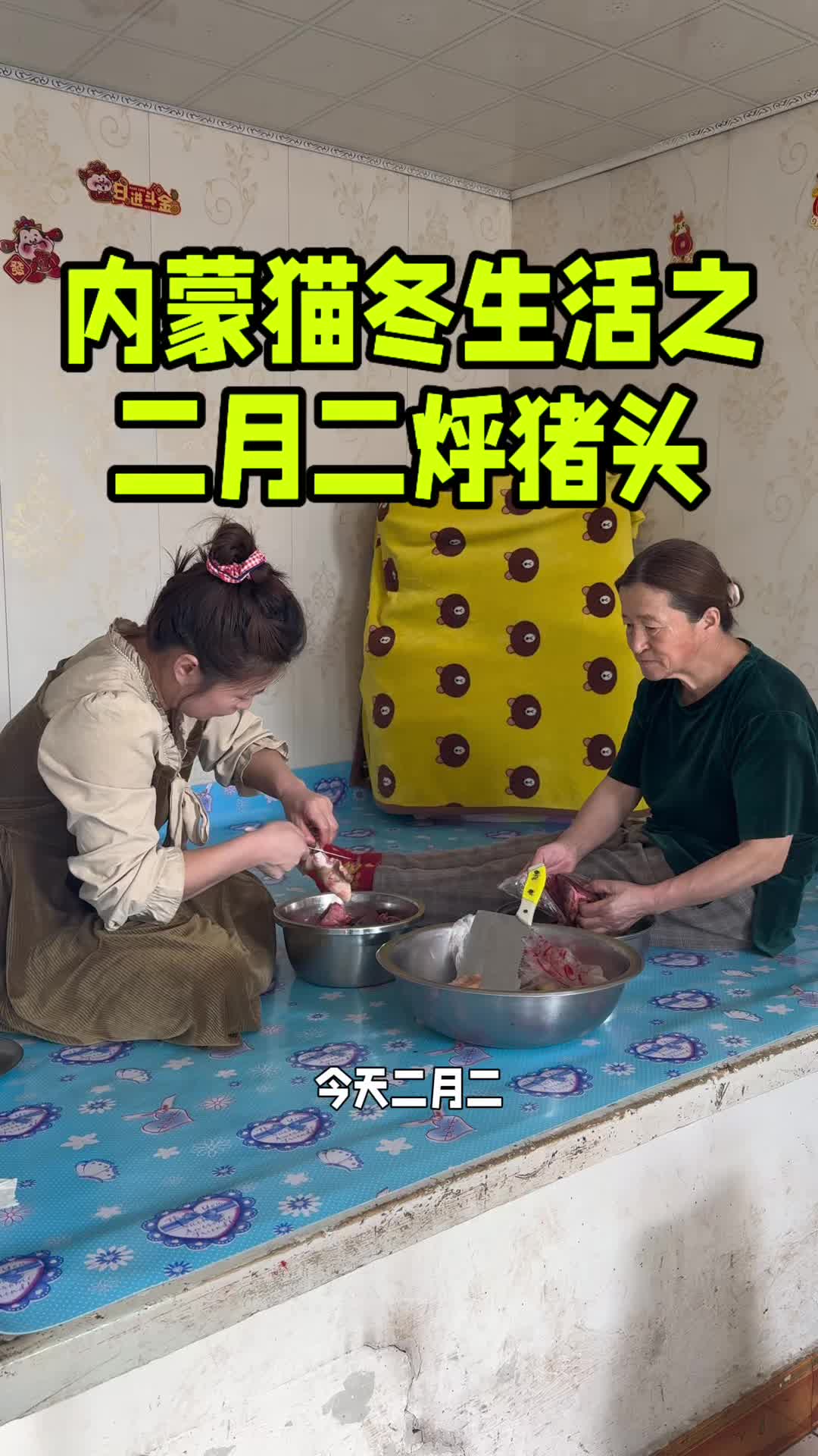 @内蒙养羊一家人
