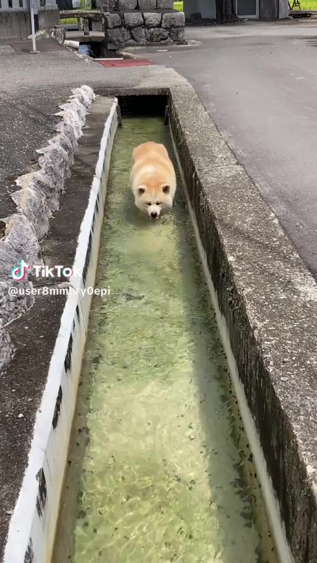 @とも