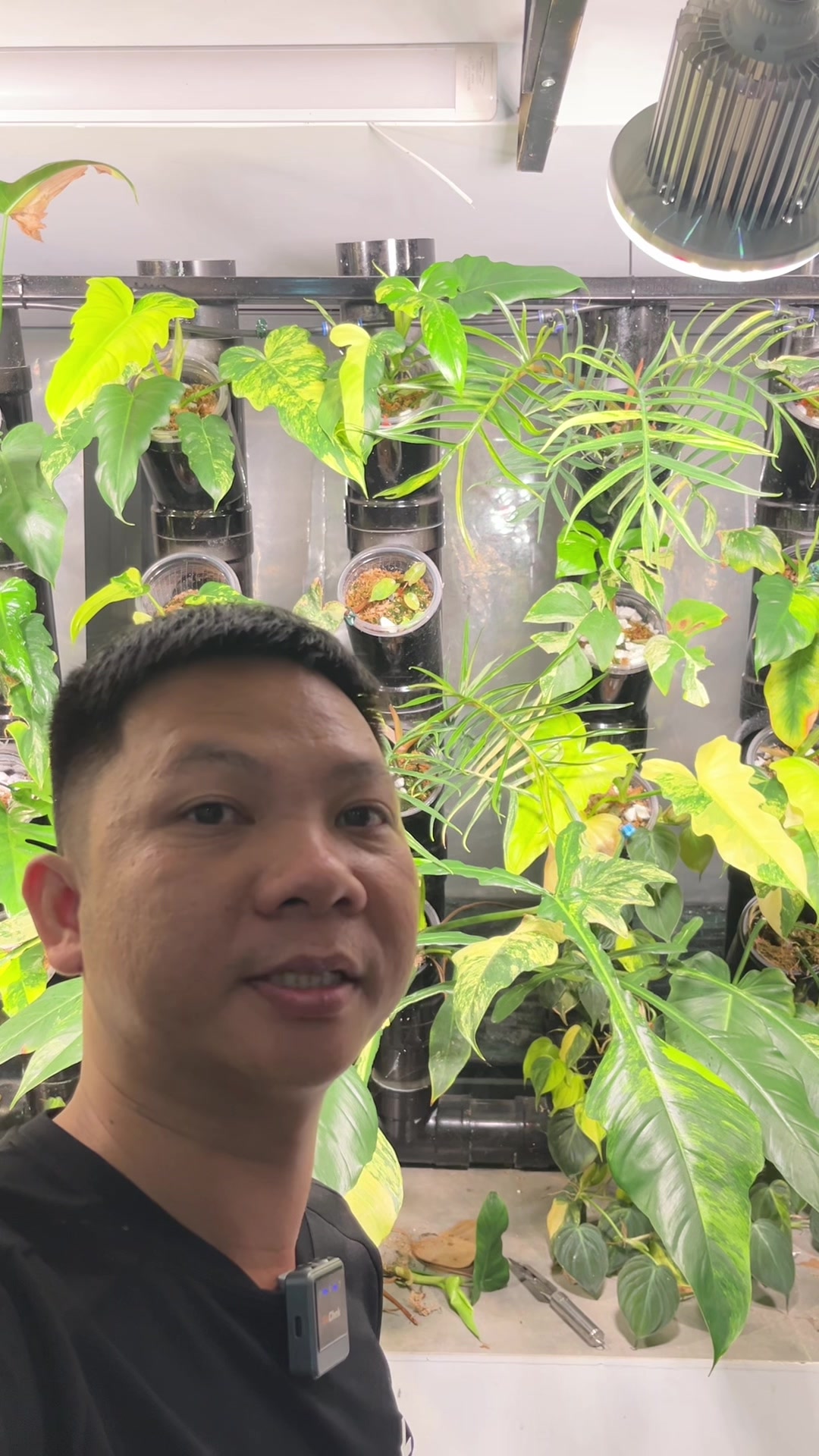 @Huy Kiểng Lá