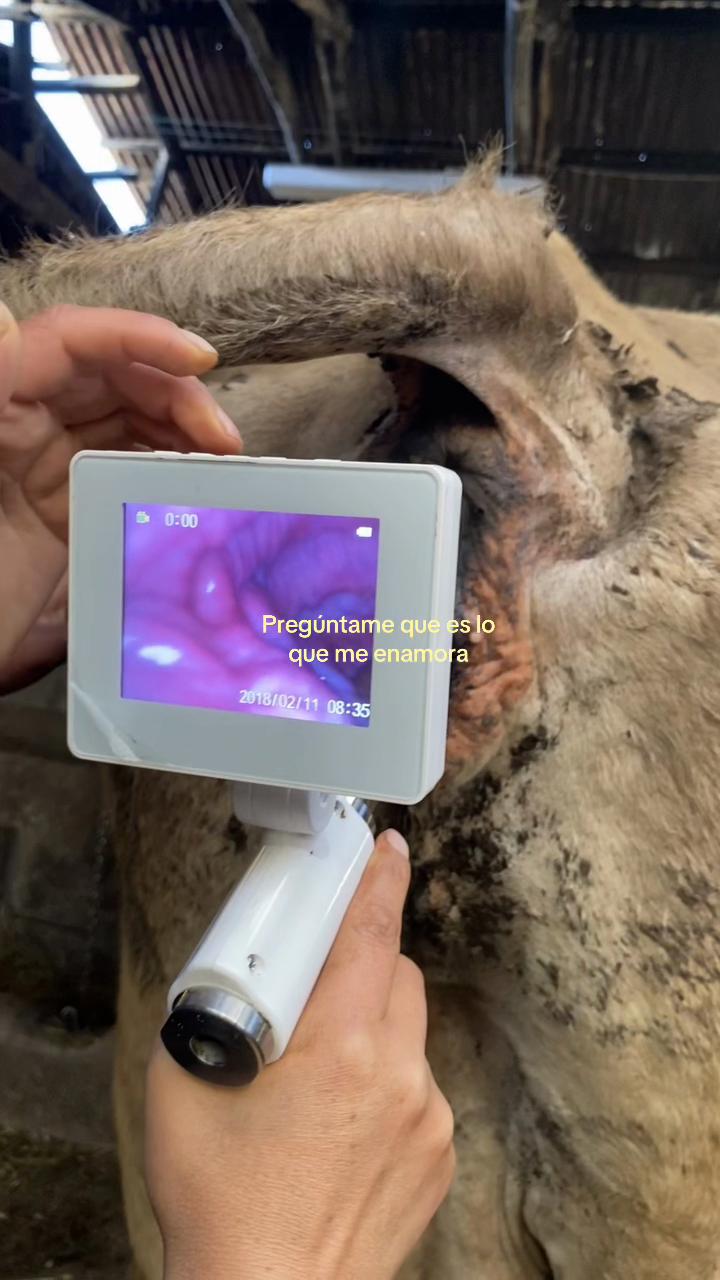 @ᴠᴀʟᴇʀɪᴀ | medvet ⚕