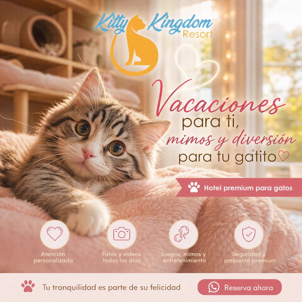 @Hotel Kitty kingdom Resort