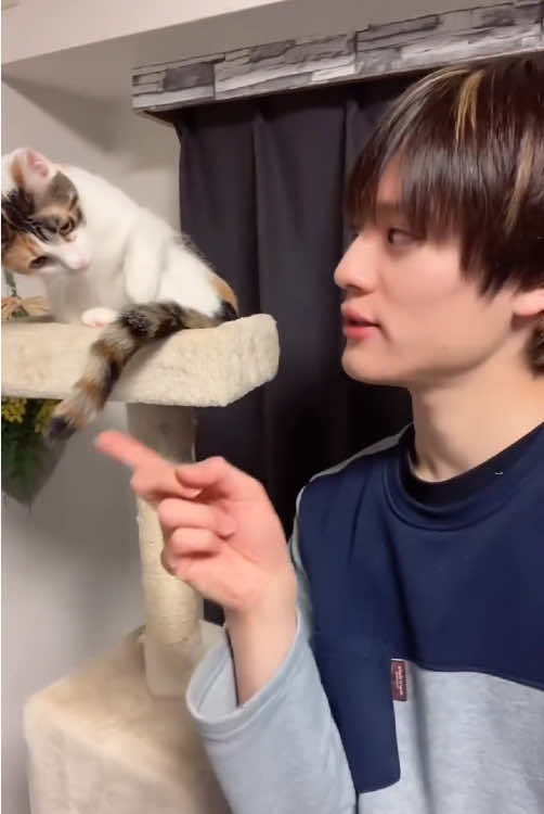 @エイミー