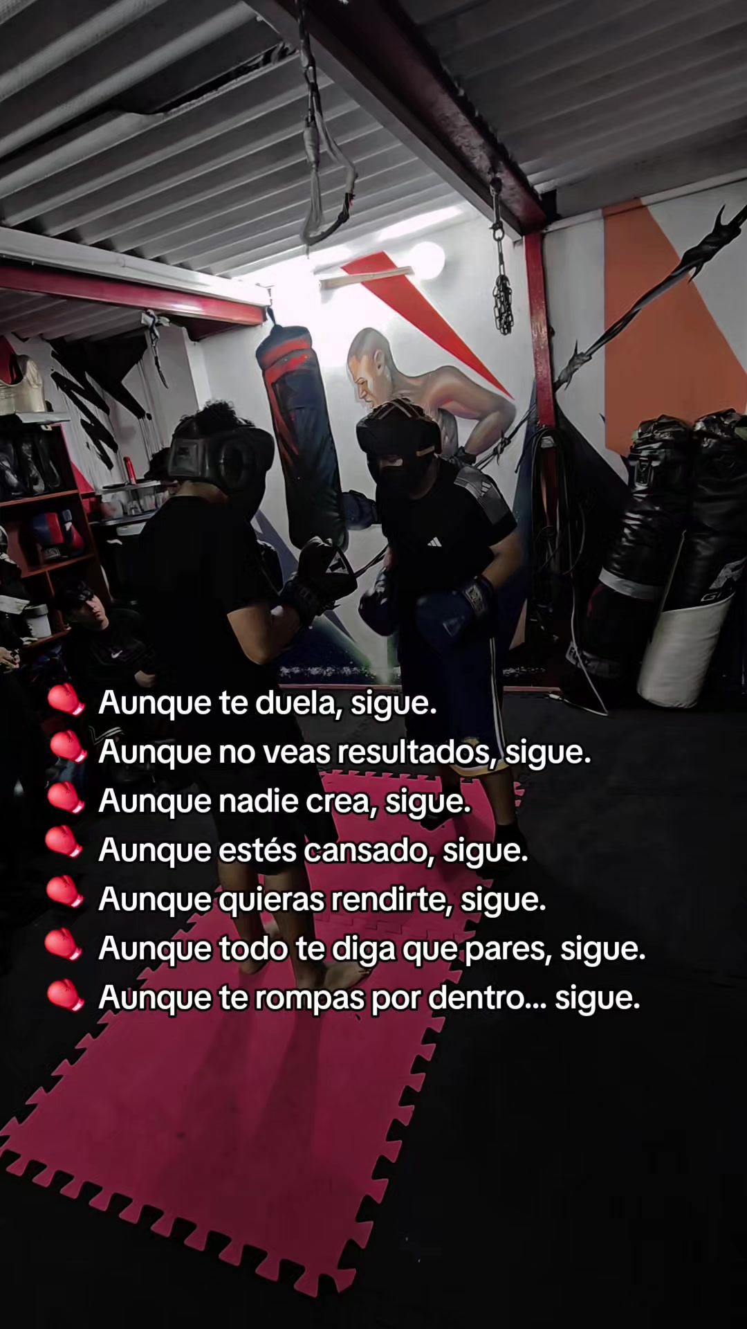 @EL DON K.O.🥊