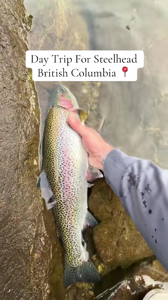 @FishingThe(250)