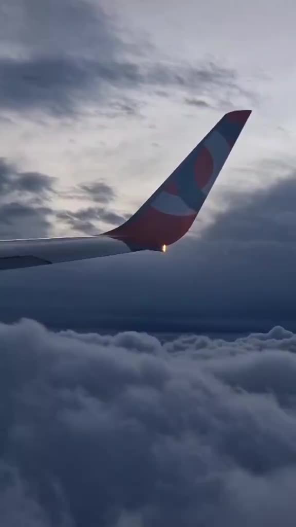 @Moacir 🏃♂️🚲✈️