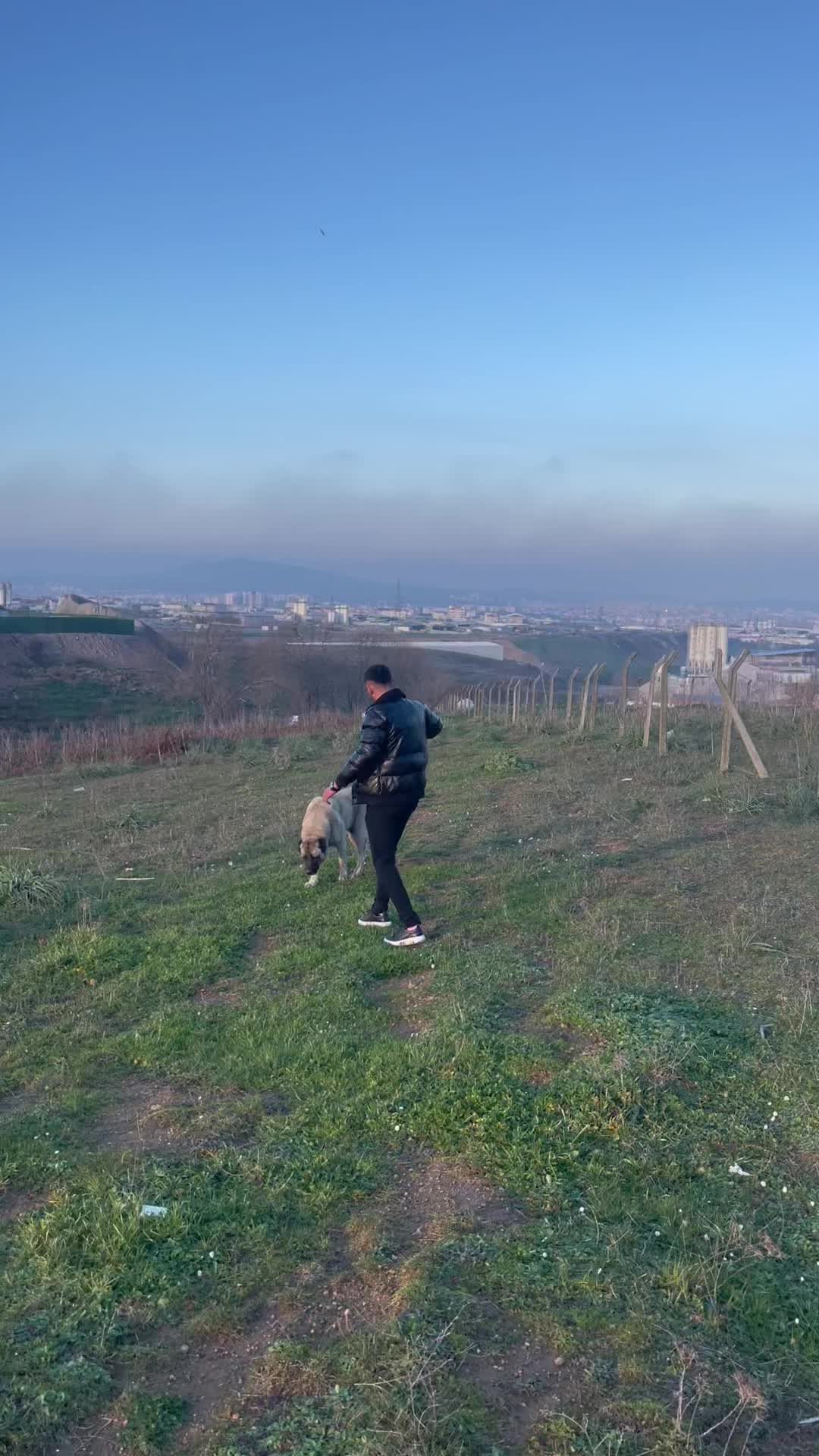 @Mustafa Yulalı36