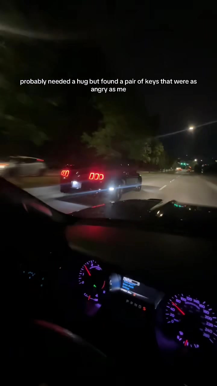 @Selena5.0