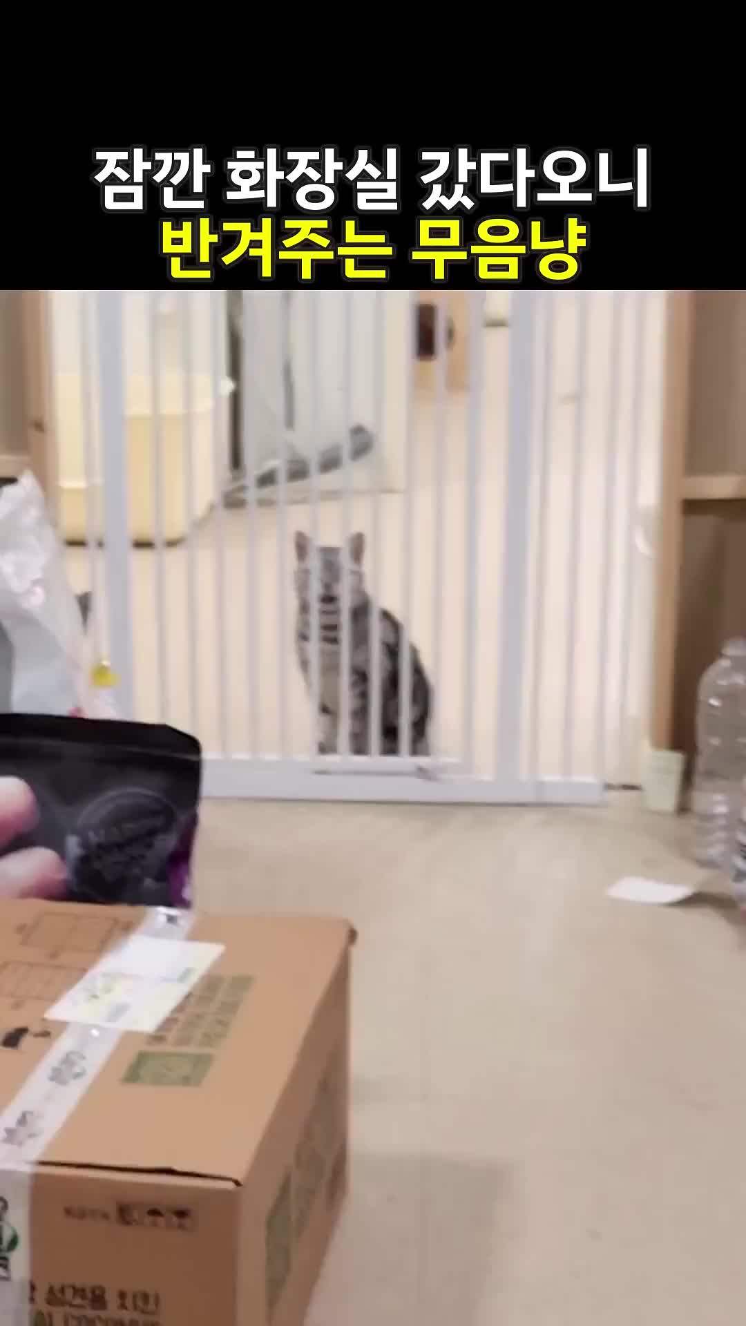 @pateckFunny