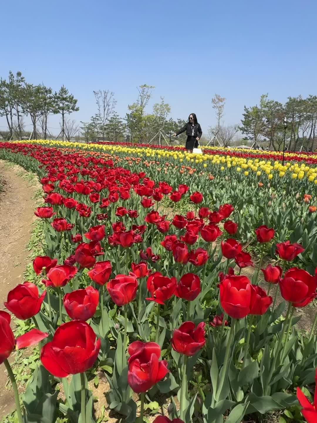 @Như _ HayĐi