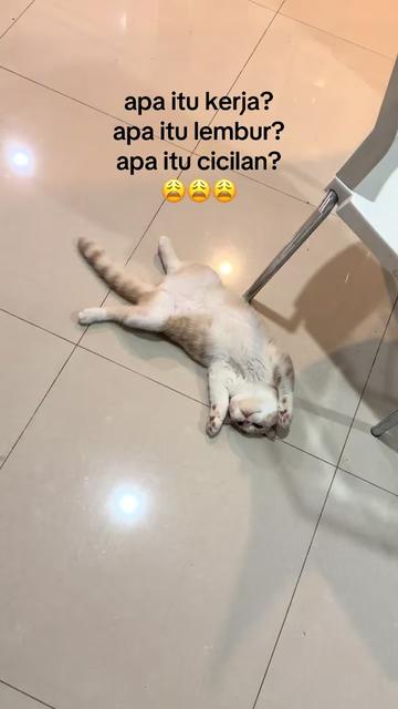 @Yasmin