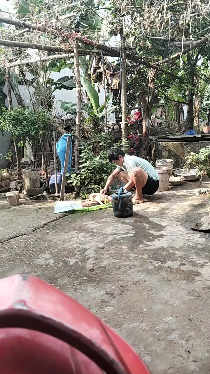 @trai qu&ecirc; đất tổ 19@.&hellip;.