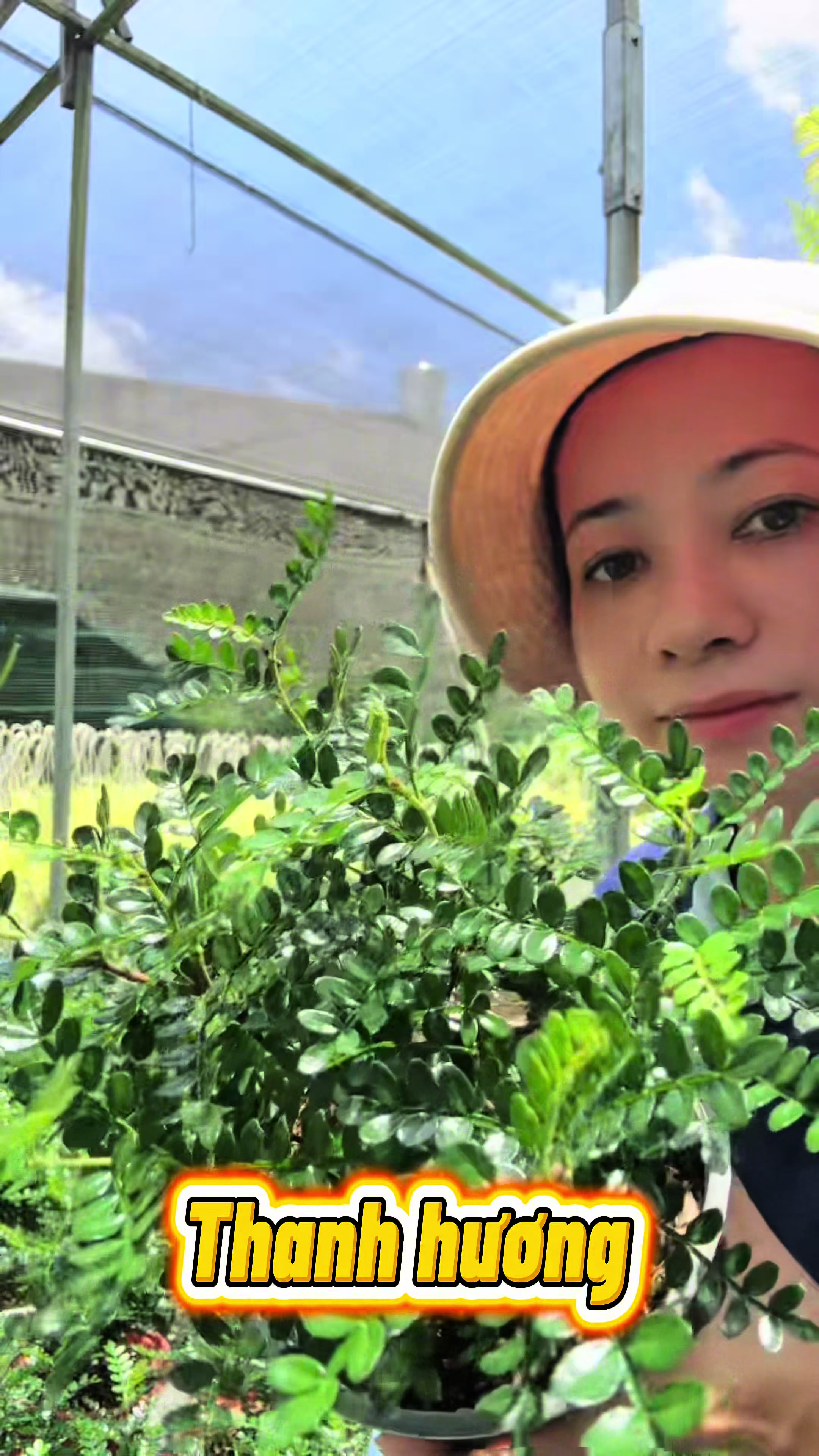 @Vườn Hồ H&acirc;n