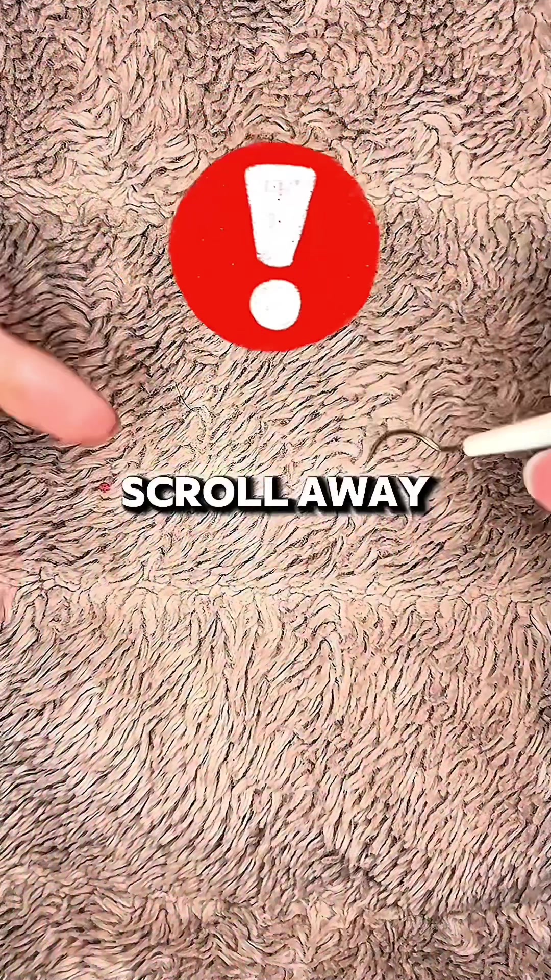 @Marcus ASMR