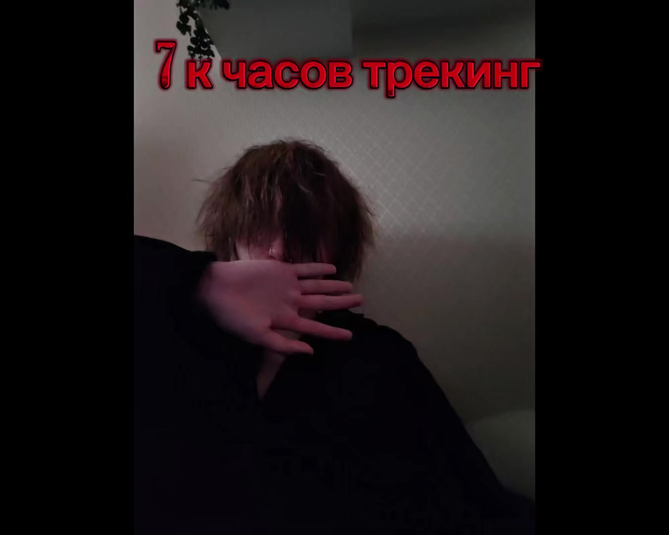 @lorex