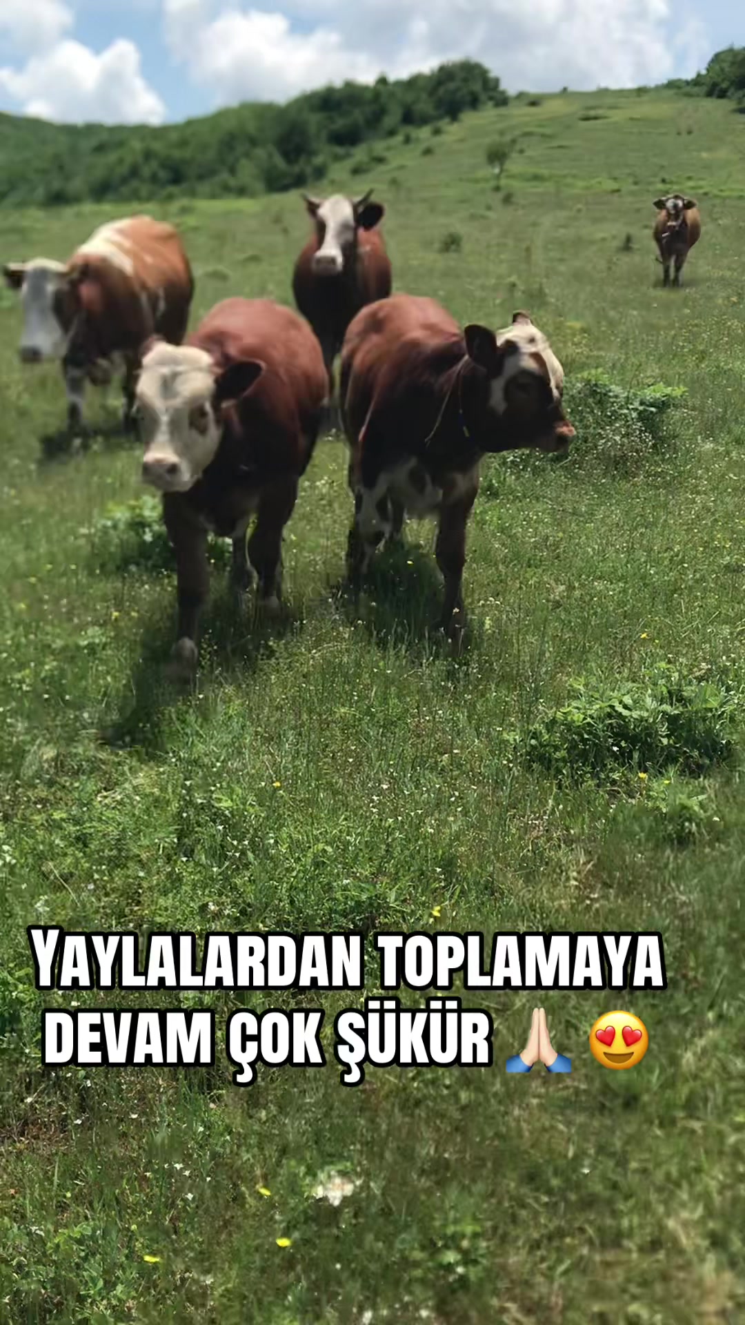 @ONUR AVCI