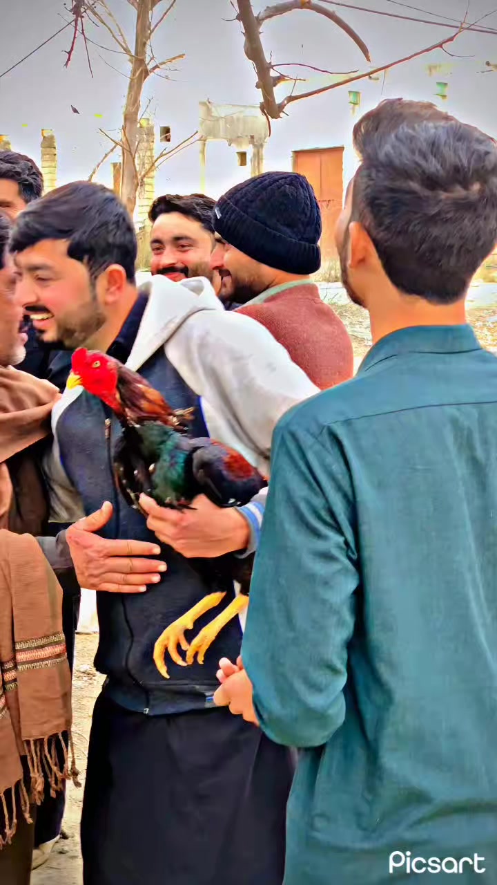 @🌿Syed IftiKHaR SHaH🌿