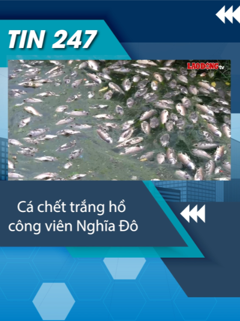 @Tin tức 24/7
