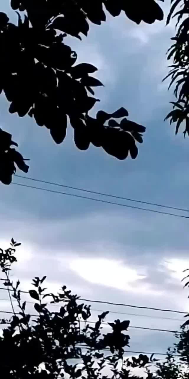 @Eliseo López