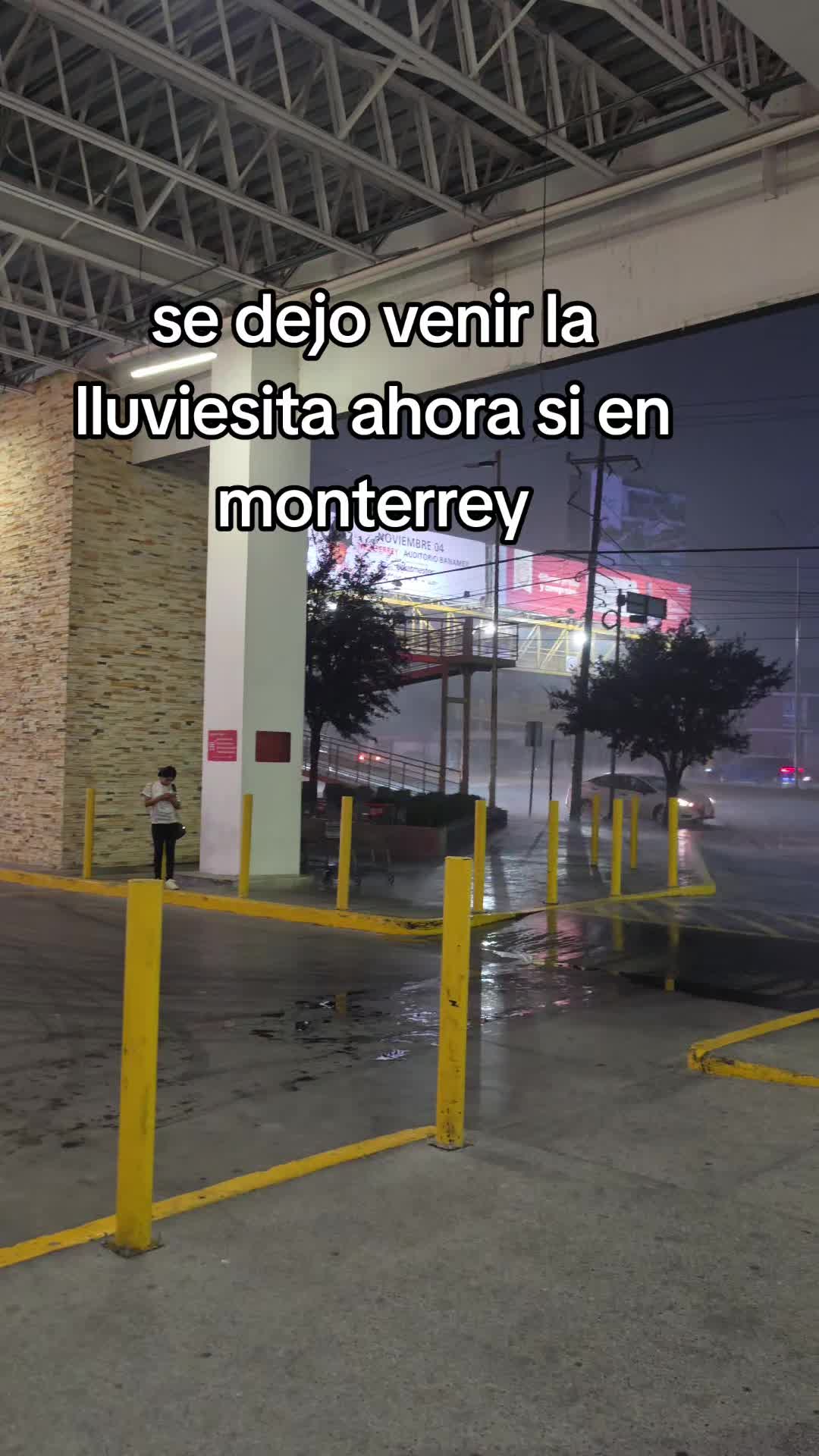 @rolroyz